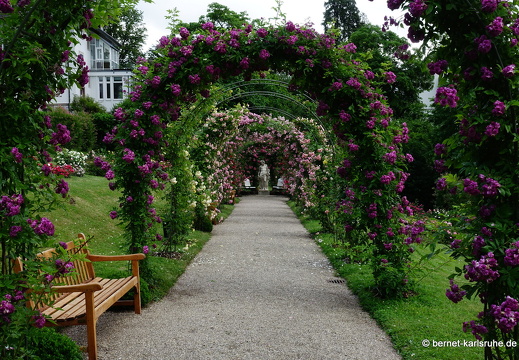 22-06-09-rosenneuheitengarten-235