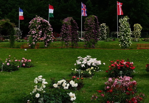 22-06-09-rosenneuheitengarten-226