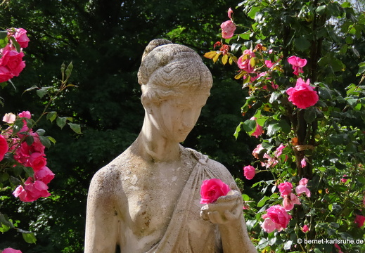 22-06-09-rosenneuheitengarten-123