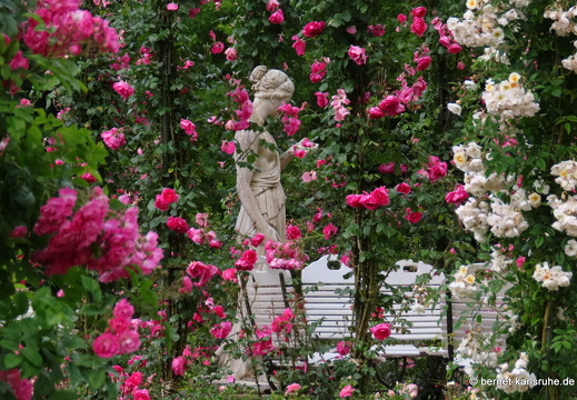 22-06-09-rosenneuheitengarten-119