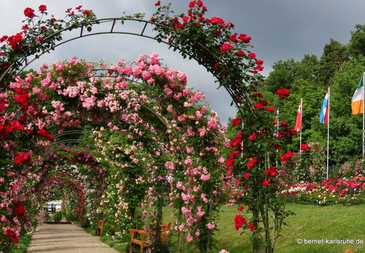 22-06-09-rosenneuheitengarten-096