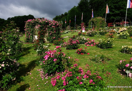 22-06-09-rosenneuheitengarten-211