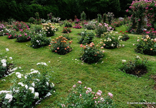 22-06-09-rosenneuheitengarten-205