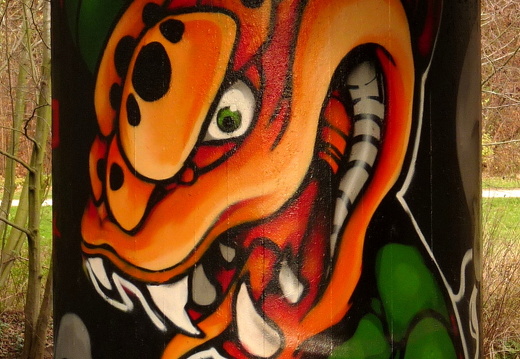 09-11-29-alb-graffiti-140