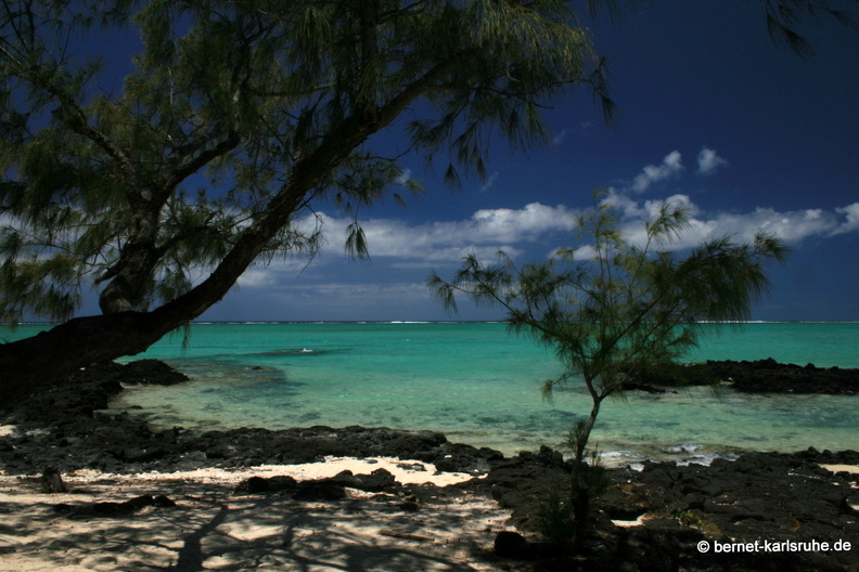 11-11-01-ile-aux-cerfs-185.JPG