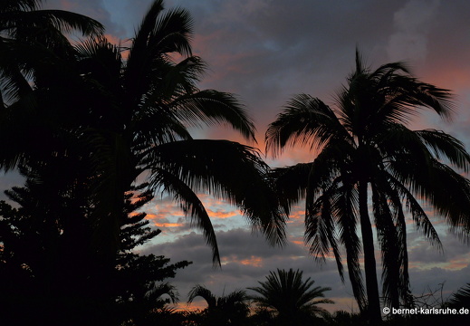 11-11-16-tamarin-sonnenuntergang-121