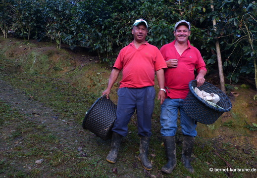 12-11-16-orosi-sonnenaufgang-246