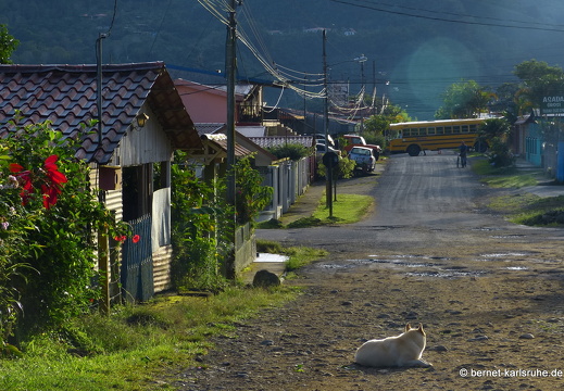 12-11-16-orosi-sonnenaufgang-281