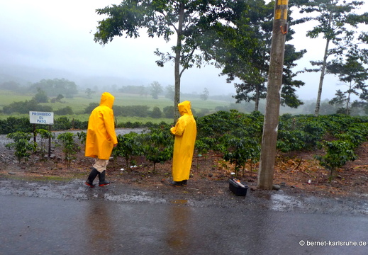 12-11-19-orosi-tirimbina-fahrt-216