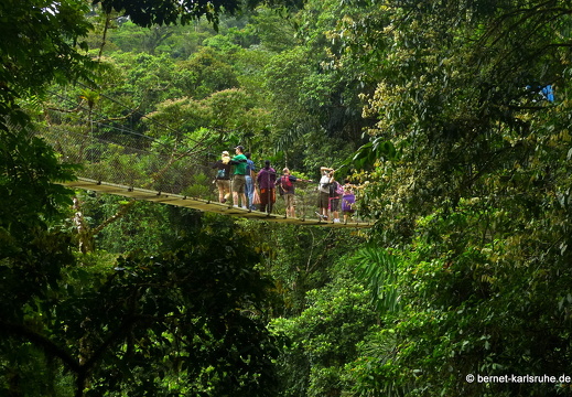 12-11-25-arenal-hangingbridges-281