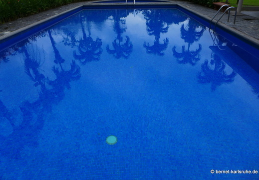 12-11-25-ecoarenal-208