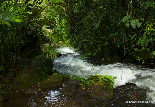 12-11-27-carolina-137