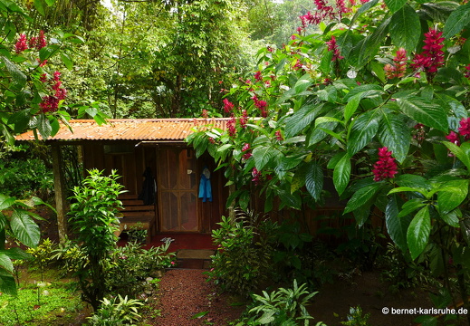 12-11-27-carolina-199