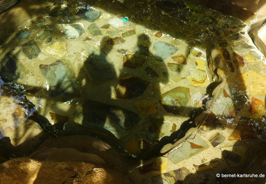 12-11-27-carolina-jacuzzi-129