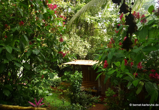 12-11-28-carolina-151