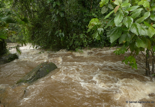 12-11-28-carolina-169