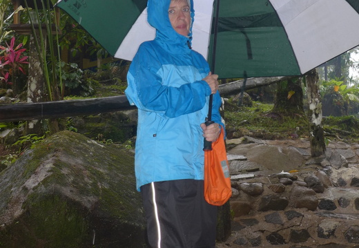 12-11-28-carolina-173