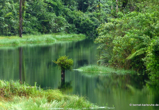 12-11-28-carolina-am-see-271