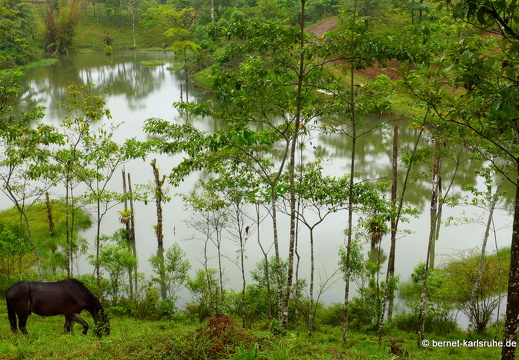 12-11-29-carolinalodge-065