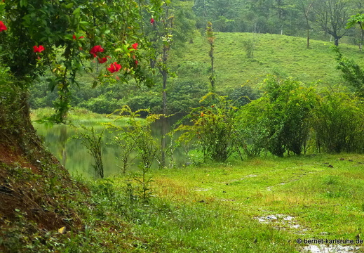 12-11-29-carolinalodge-077