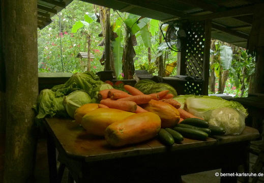 12-11-30-carolinalodge-041