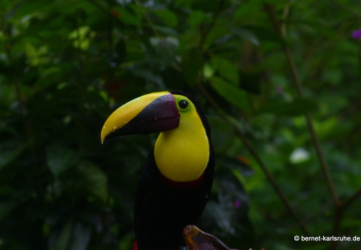 12-12-01-carolinalodge-013