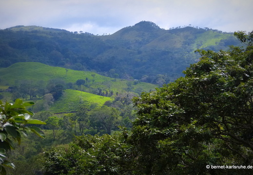 12-12-02-canascastilla-061