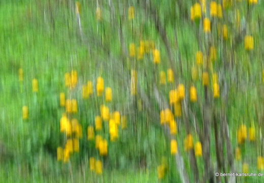 12-12-02-canascastilla-098