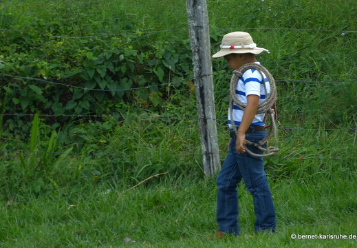 12-12-02-canascastilla-145