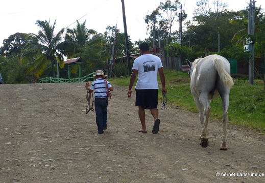 12-12-02-canascastilla-148