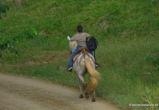 12-12-03-canascastilla-012