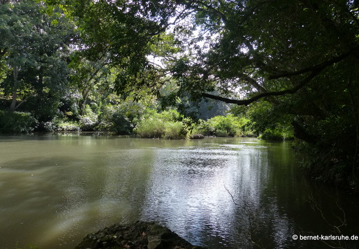12-12-03-canascastilla-056