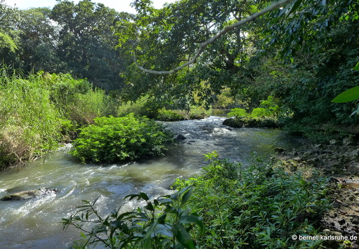 12-12-03-canascastilla-078