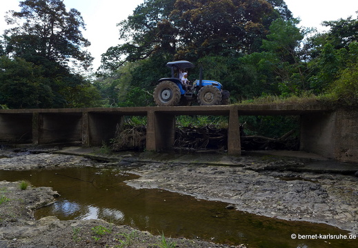 12-12-03-canascastilla-122