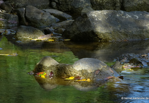 12-12-03-canascastilla-241