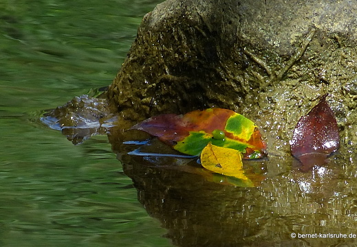 12-12-03-canascastilla-244