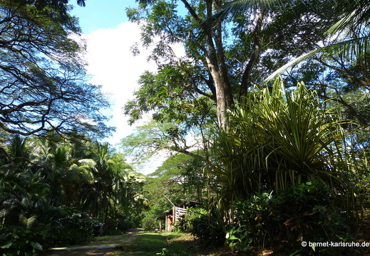 12-12-03-canascastilla-304