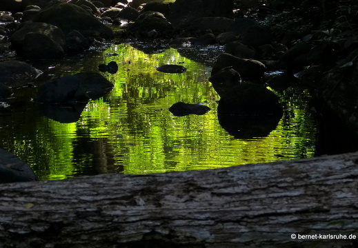 12-12-03-canascastilla-gelberweg-364