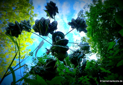 12-12-05-canascastilla-226