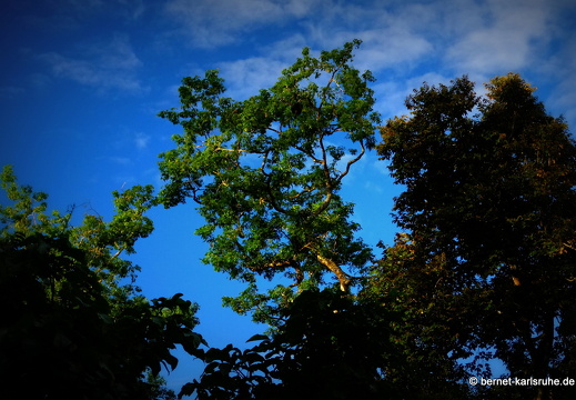 12-12-05-canascastilla-268