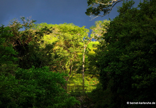 12-12-05-canascastilla-362