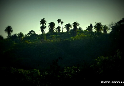 12-12-05-canascastilla-378