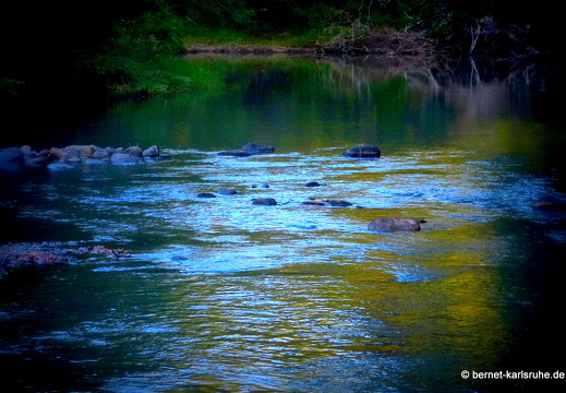 12-12-06-canascastilla-026