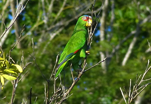 12-12-06-canascastilla-201