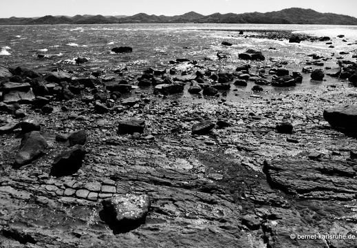 12-12-07-vogelinsel-bolanos-081