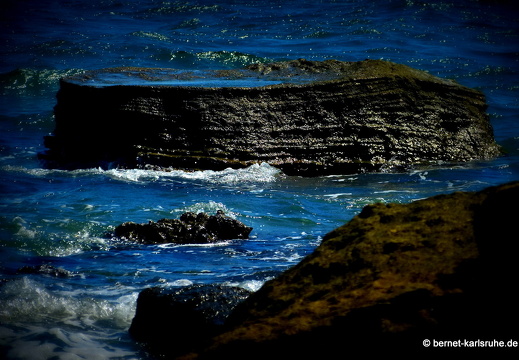 12-12-07-vogelinsel-bolanos-098