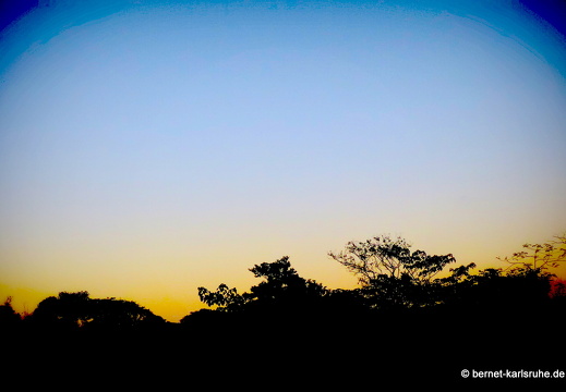 12-12-08-canascastilla-009