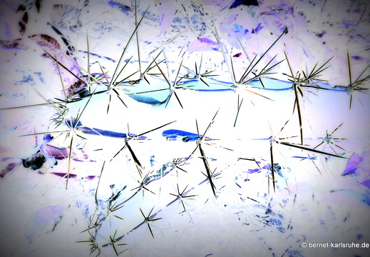 13-12-12-07-vogelinsel-bolanos-100