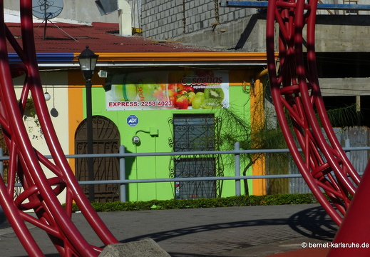 12-12-10-sanjose-029