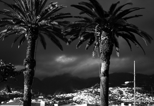 12-02-28-funchal-fort do pico-sonnenuntergang-131